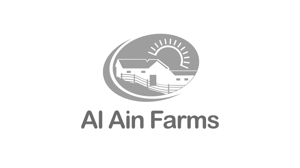 AI-Ain